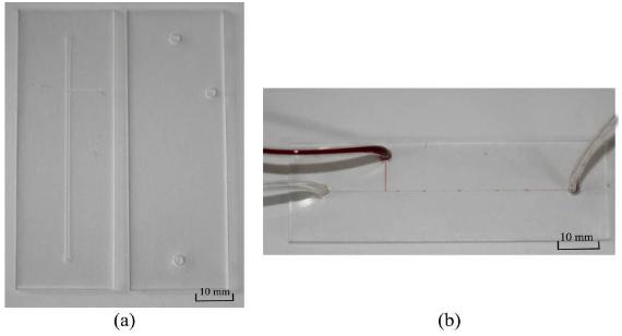 二氧化碳激光器加工完成的微流控芯片（PMMA材質，液滴產生器）