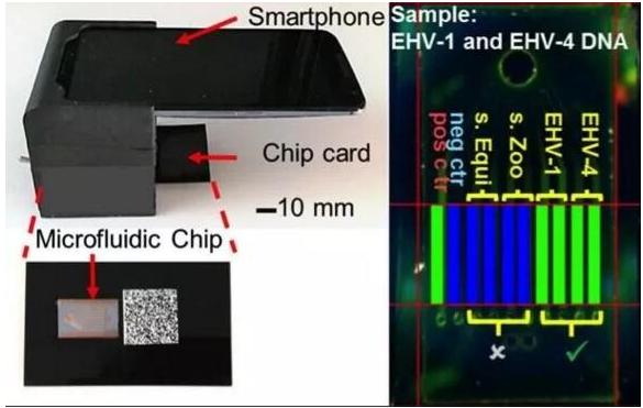 微流控芯片實(shí)驗(yàn)室平臺:可快速檢測多種傳染病病原體 微流控芯片實(shí)驗(yàn)室平臺:可快速檢測多種傳染病病原體