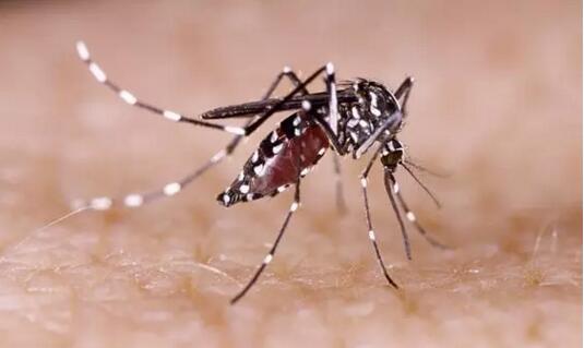 可快速檢測多種傳染病病原體 可快速檢測多種傳染病病原體