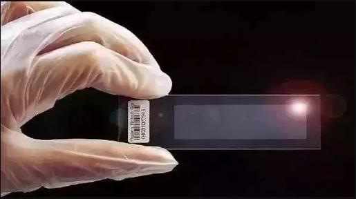 藥物分析“芯”方法 發掘微流控芯片在生物醫藥領域的獨特價值 藥物分析“芯”方法 發掘微流控芯片在生物醫藥領域的獨特價值