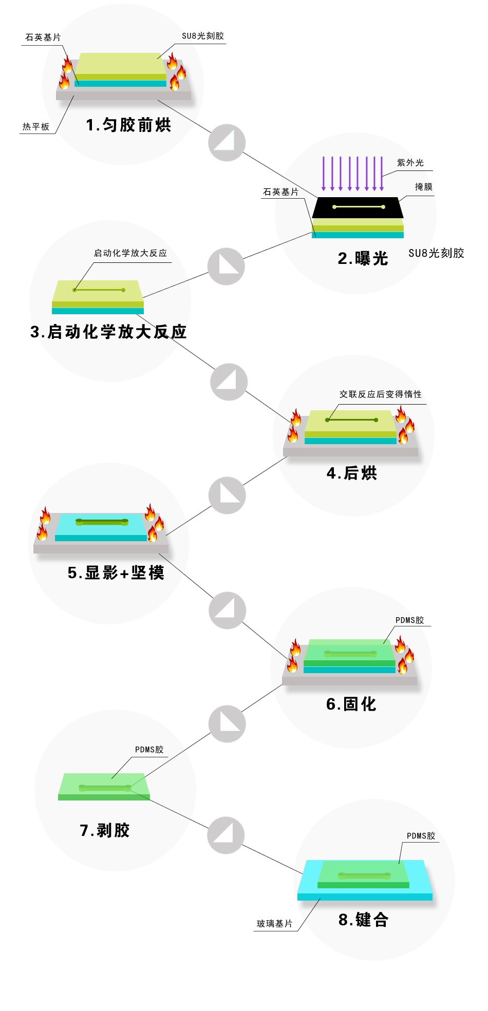 模塑法-微流控PDMS芯片制備流程圖