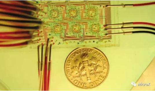培養微生物的微恒化器 培養微生物的微恒化器