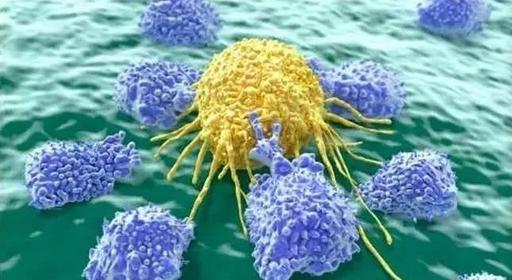 微流控芯片在循環腫瘤細胞中的應用 微流控芯片在循環腫瘤細胞中的應用