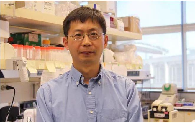 張鹍教授 張鹍教授