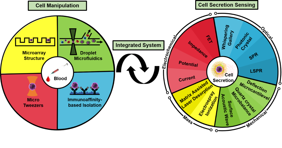 基于微流體系統的單細胞生物檢測技術 基于微流體系統的單細胞生物檢測技術