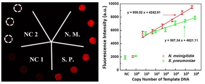 微流控生物芯片在醫(yī)療診斷應用 微流控生物芯片在醫(yī)療診斷應用