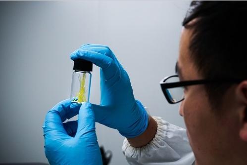 復旦大學俞燕蕾團隊研發出全新概念的光控微流體新技術 復旦大學俞燕蕾團隊研發出全新概念的光控微流體新技術