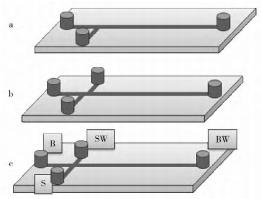 圖 2 常用于微流控芯片電泳的通道結構示意圖 圖 2 常用于微流控芯片電泳的通道結構示意圖