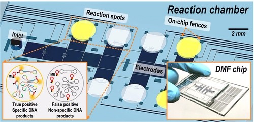 數位微流控系統寄生蟲檢測工具 數位微流控系統寄生蟲檢測工具