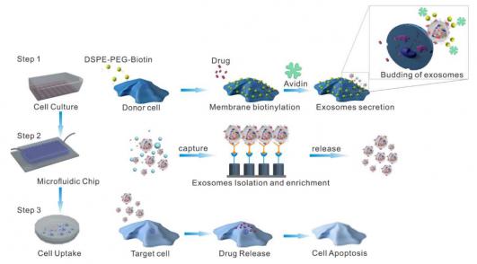 三維納米結構微流控芯片 三維納米結構微流控芯片