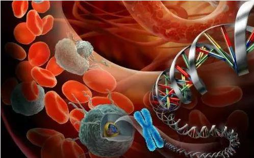 循環腫瘤細胞(CTC)在精準醫療領域的應用 循環腫瘤細胞(CTC)在精準醫療領域的應用