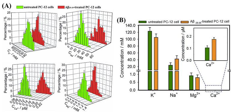 圖3. （A）Aβ25-35刺激前后Na+、K+、Ca2+、Mg2+濃度變化的正態(tài)分布圖；（B）Aβ25-35刺激前后Na+、K+、Ca2+、Mg2+濃度變化的柱狀圖