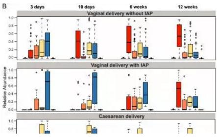 孕婦分娩期用抗生素,嬰兒菌群成熟推遲 孕婦分娩期用抗生素,嬰兒菌群成熟推遲