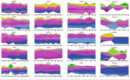 IBD患者腸道里富集的活潑瘤胃球菌 IBD患者腸道里富集的活潑瘤胃球菌