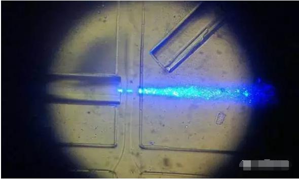 工作中的新型設備：光纖發出藍光，照亮從左向右流動的細胞樣本。（圖片來源：URV）