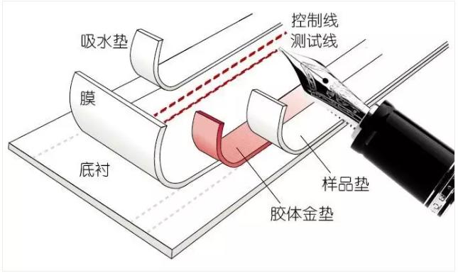 圖2 免疫層析產品的制造過程 圖2 免疫層析產品的制造過程