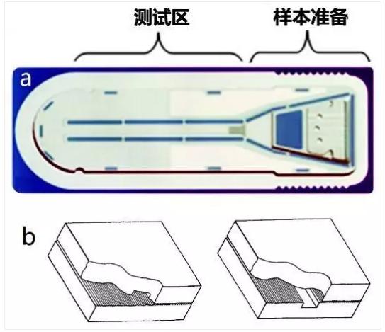 圖3 Biosite微流體測試卡結構 圖3 Biosite微流體測試卡結構