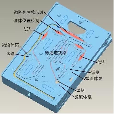 圖3 理邦m16微流控測試卡結構 圖3 理邦m16微流控測試卡結構