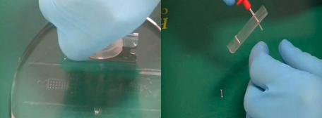 PDMS復制和打孔 PDMS復制和打孔