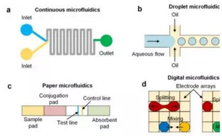 氯胺酮的抗抑郁效果或與腸-腦軸相關