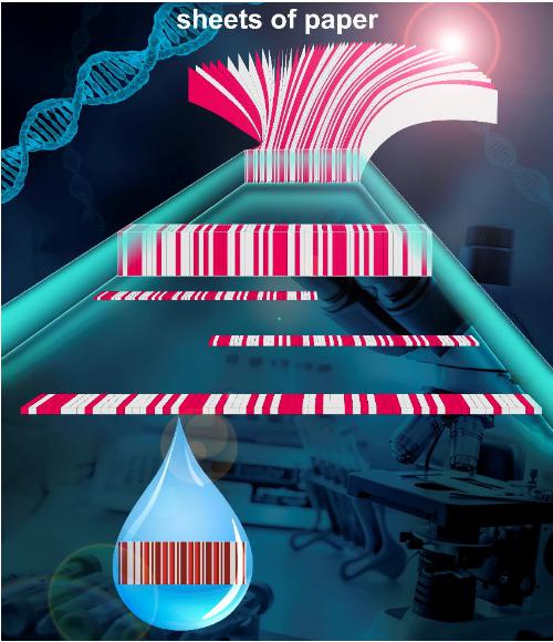 紙的堆疊和切削加工技術用于條碼化紙基芯片的精密加工和大規模制造 紙的堆疊和切削加工技術用于條碼化紙基芯片的精密加工和大規模制造