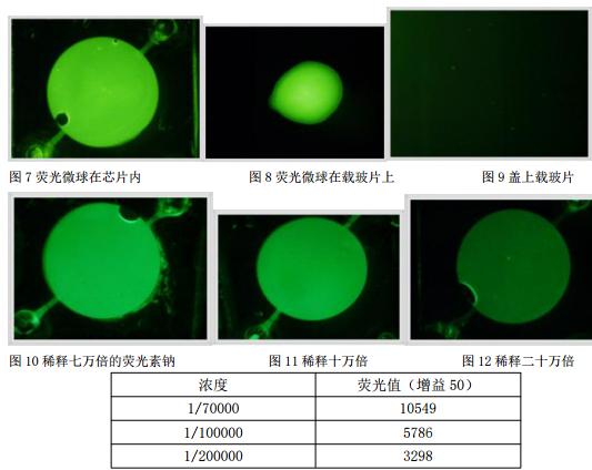 熒光素鈉溶液的熒光值