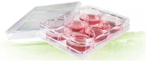 有限稀釋法(Limiting Dilution) 有限稀釋法(Limiting Dilution)