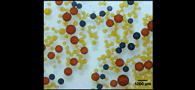 圖2. 液滴對外加磁場的響應。圖片來源：Nature