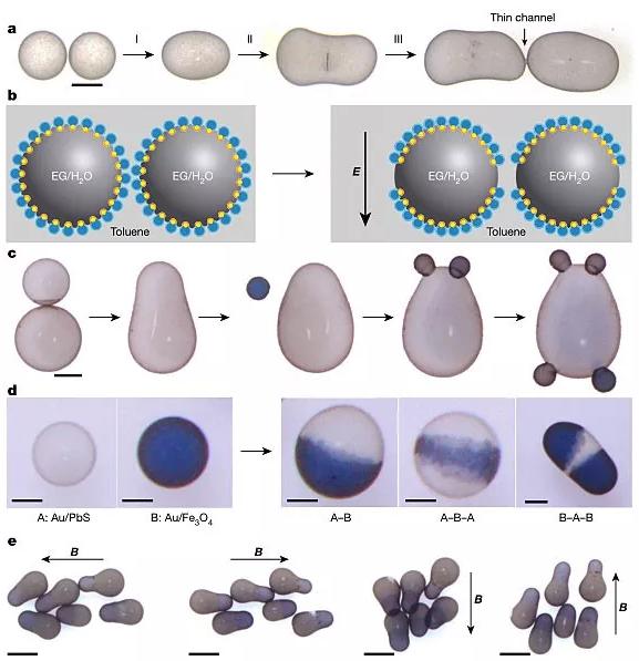 圖5. 基于靜電“焊接”設計與開發復雜非球型液滴。