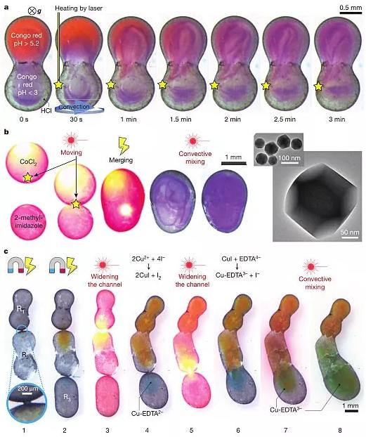 圖6. 動態控制的液滴化學反應器。圖片來源：Nature