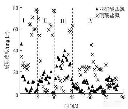 反應器中進出水各形態氮的變化 反應器中進出水各形態氮的變化
