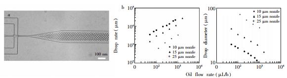 圖4 液滴產生過程中的穩定性 