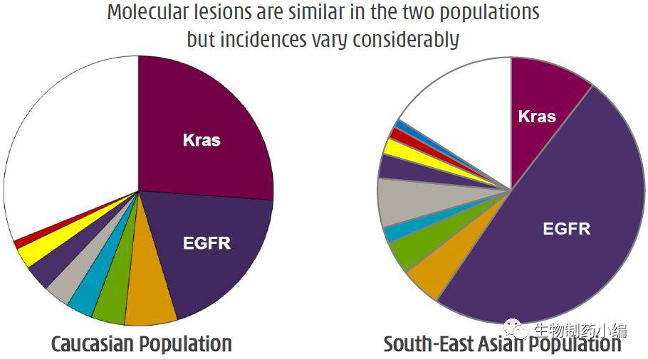 1516761945552528.jpg f6.jpg