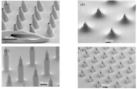圖1不同種類的微針。(A)金屬錐形針(B)中心偏置的火山形針(C)城堡形狀的針頭(D)鋸齒形的針頭 圖1不同種類的微針。(A)金屬錐形針(B)中心偏置的火山形針(C)城堡形狀的針頭(D)鋸齒形的針頭
