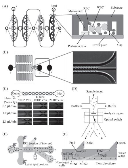 分選血細(xì)胞的PMMA微流控芯片 分選血細(xì)胞的PMMA微流控芯片