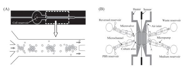 微流控芯片來培養(yǎng)細(xì)胞 微流控芯片來培養(yǎng)細(xì)胞
