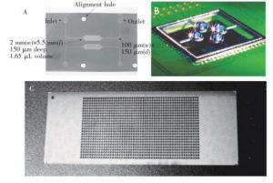 圖1 微池型 PCR芯片: (A) 單反應池 PCR芯片,(B) 液滴虛擬微池 PCR芯片, (C) 微池陣列 PCR芯片 圖1 微池型 PCR芯片: (A) 單反應池 PCR芯片,(B) 液滴虛擬微池 PCR芯片, (C) 微池陣列 PCR芯片