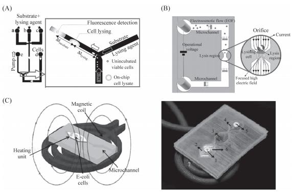 圖3細(xì)胞裂解裝置示意圖