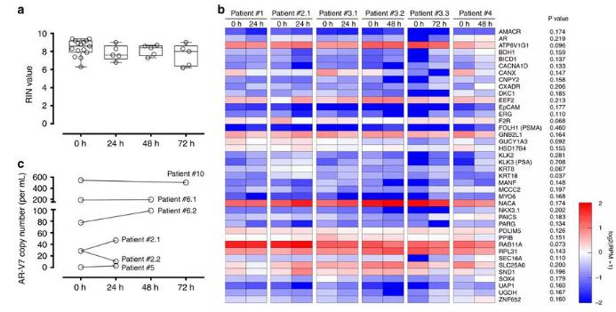 圖：從前列腺癌患者血液中分離出的CTC經全血保存后含有完整的RNA，RNA測序和微滴數字PCR結果如圖所示。