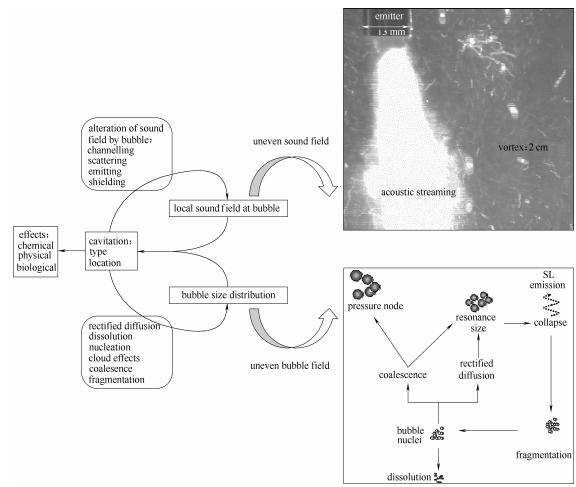 圖3反應(yīng)器中聲空化行為——復(fù)雜聲場(chǎng)和氣泡場(chǎng)的動(dòng)態(tài)耦合 圖3反應(yīng)器中聲空化行為——復(fù)雜聲場(chǎng)和氣泡場(chǎng)的動(dòng)態(tài)耦合