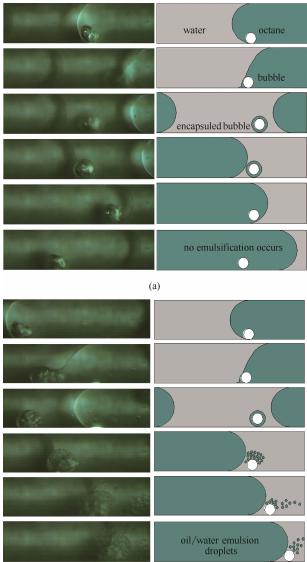 圖8超聲微反應(yīng)器內(nèi)的空化致乳效應(yīng) 圖8超聲微反應(yīng)器內(nèi)的空化致乳效應(yīng)