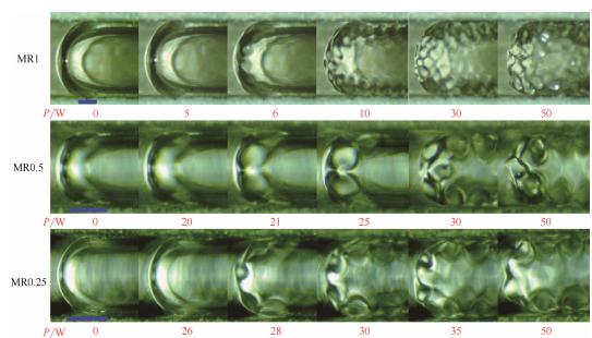 圖9超聲作用下微通道內(nèi)彈狀氣泡運(yùn)動(dòng)行為(標(biāo)尺250μm) 圖9超聲作用下微通道內(nèi)彈狀氣泡運(yùn)動(dòng)行為(標(biāo)尺250μm)