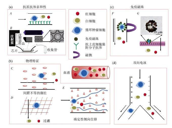 圖1微流控芯片捕獲CTCs各類芯片結(jié)構(gòu)示意圖 圖1微流控芯片捕獲CTCs各類芯片結(jié)構(gòu)示意圖