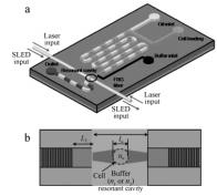 圖4生物芯片和纖維布拉格光柵 圖4生物芯片和纖維布拉格光柵