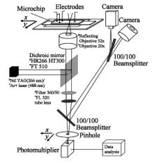圖1紫外和可見激光誘導熒光檢測系統 圖1紫外和可見激光誘導熒光檢測系統