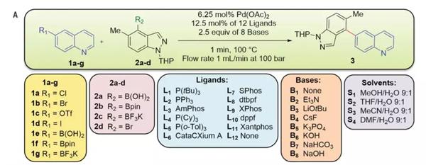 Suzuki-Miyaura偶聯反應模型(圖片來源:《科學》) Suzuki-Miyaura偶聯反應模型(圖片來源:《科學》)