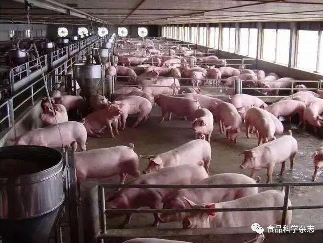 1517965351111108.jpg s2.jpg