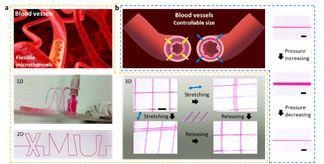 彈性體高分子膜基材料微流控技術 彈性體高分子膜基材料微流控技術