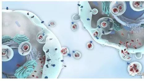 眾望所歸,液體活檢技術將迎來全新發展時代 眾望所歸,液體活檢技術將迎來全新發展時代