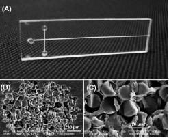 典型的纖維電泳微芯片的照片和玻璃纖維包裝的微通道的橫截面的SEM圖像。 典型的纖維電泳微芯片的照片和玻璃纖維包裝的微通道的橫截面的SEM圖像。